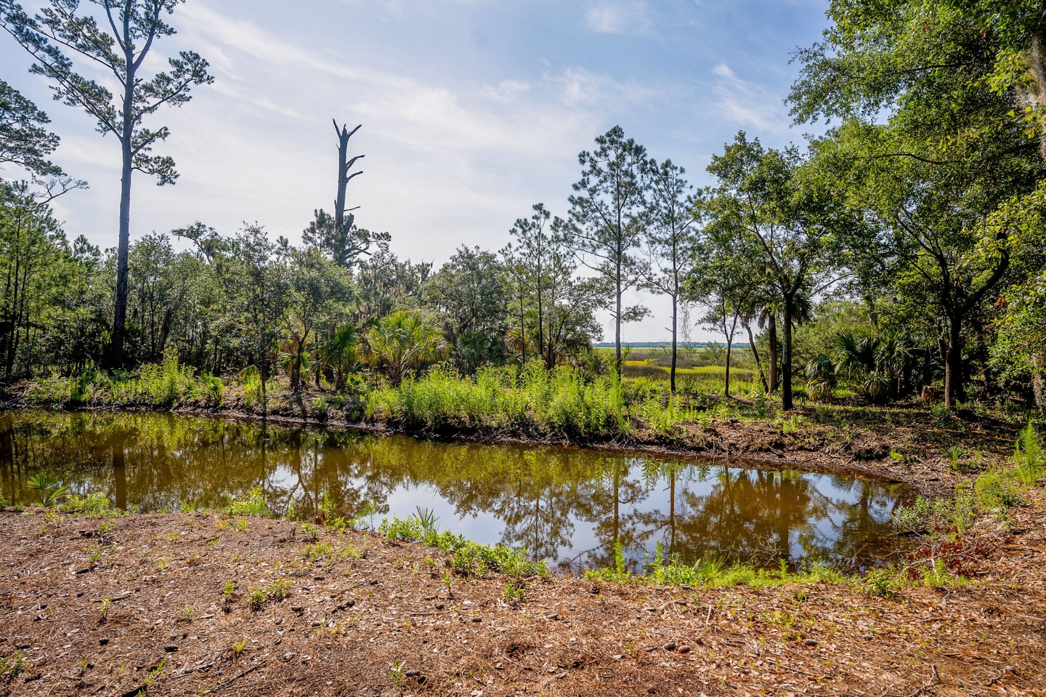 DSC05764-55-HDR-1-SMALL-scaled