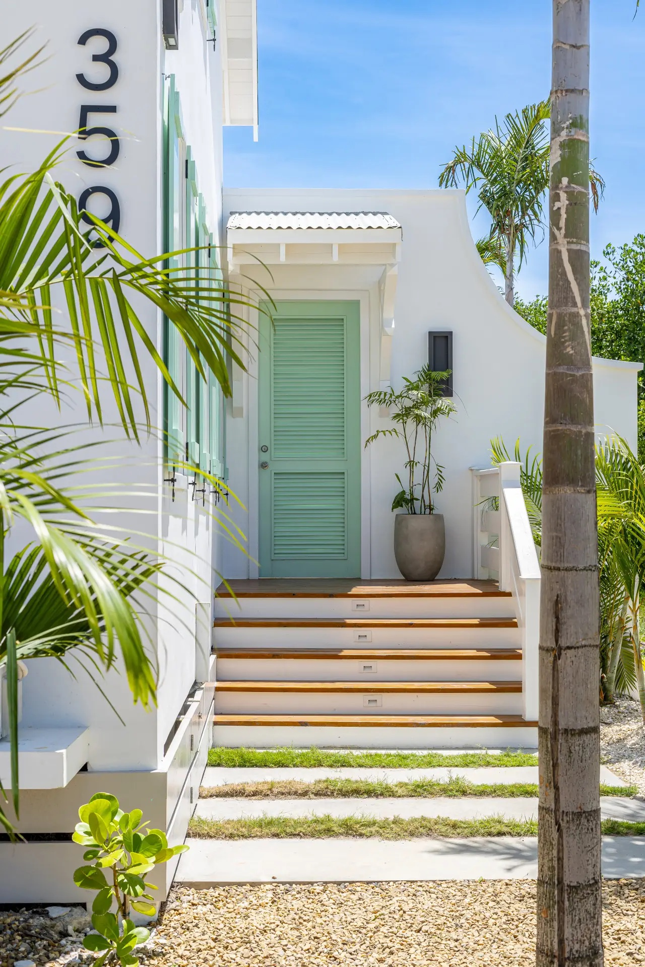 Palms 28
