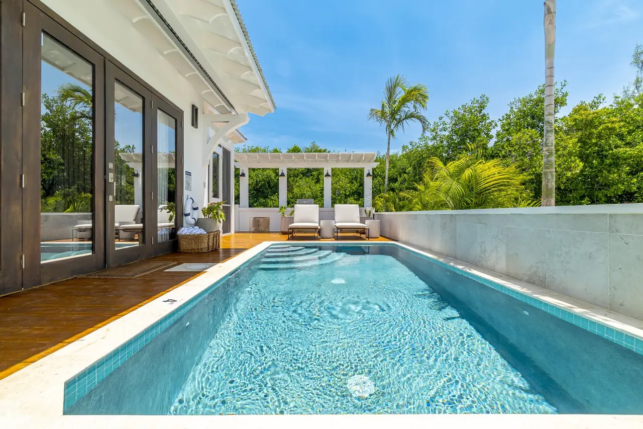 Palms 40