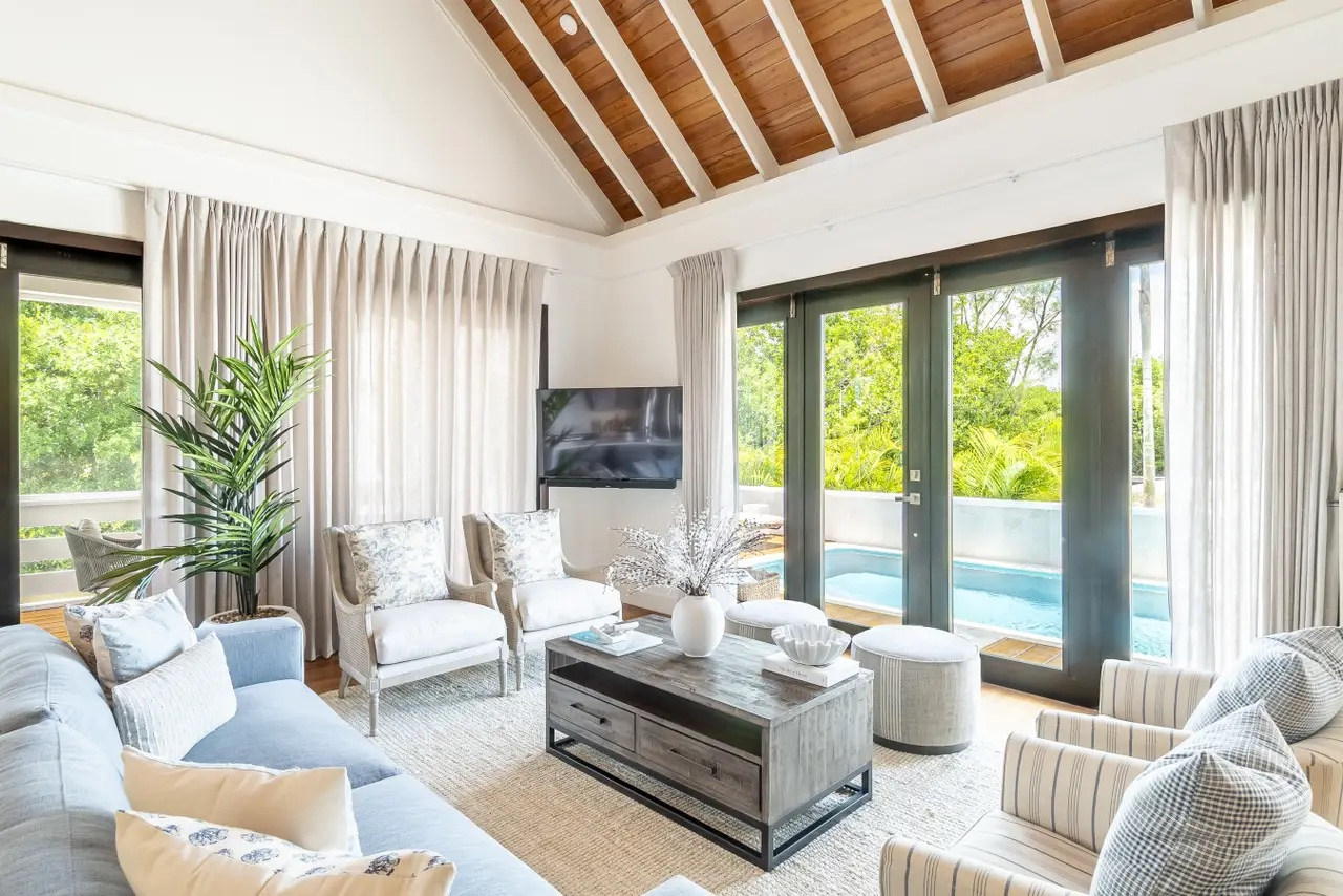 Palms 50