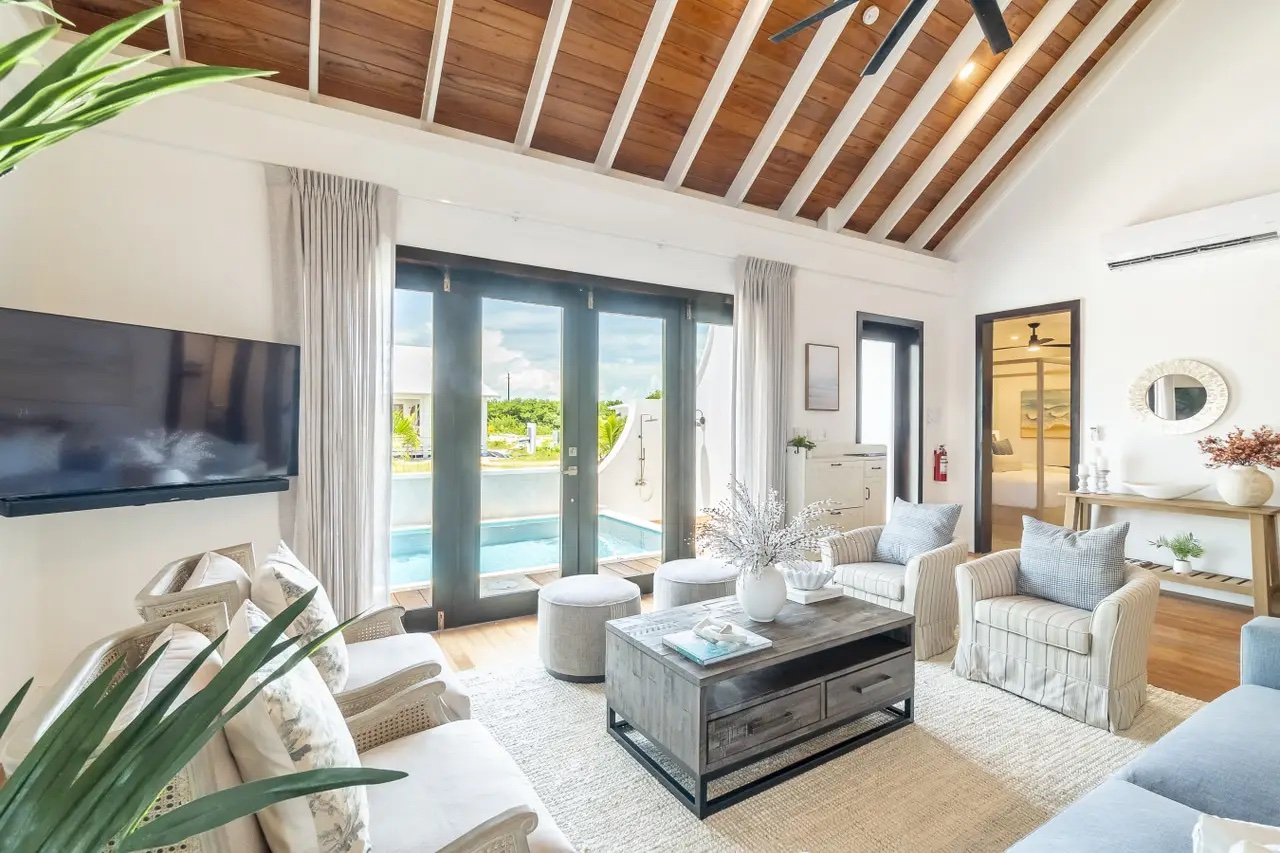 Palms 53
