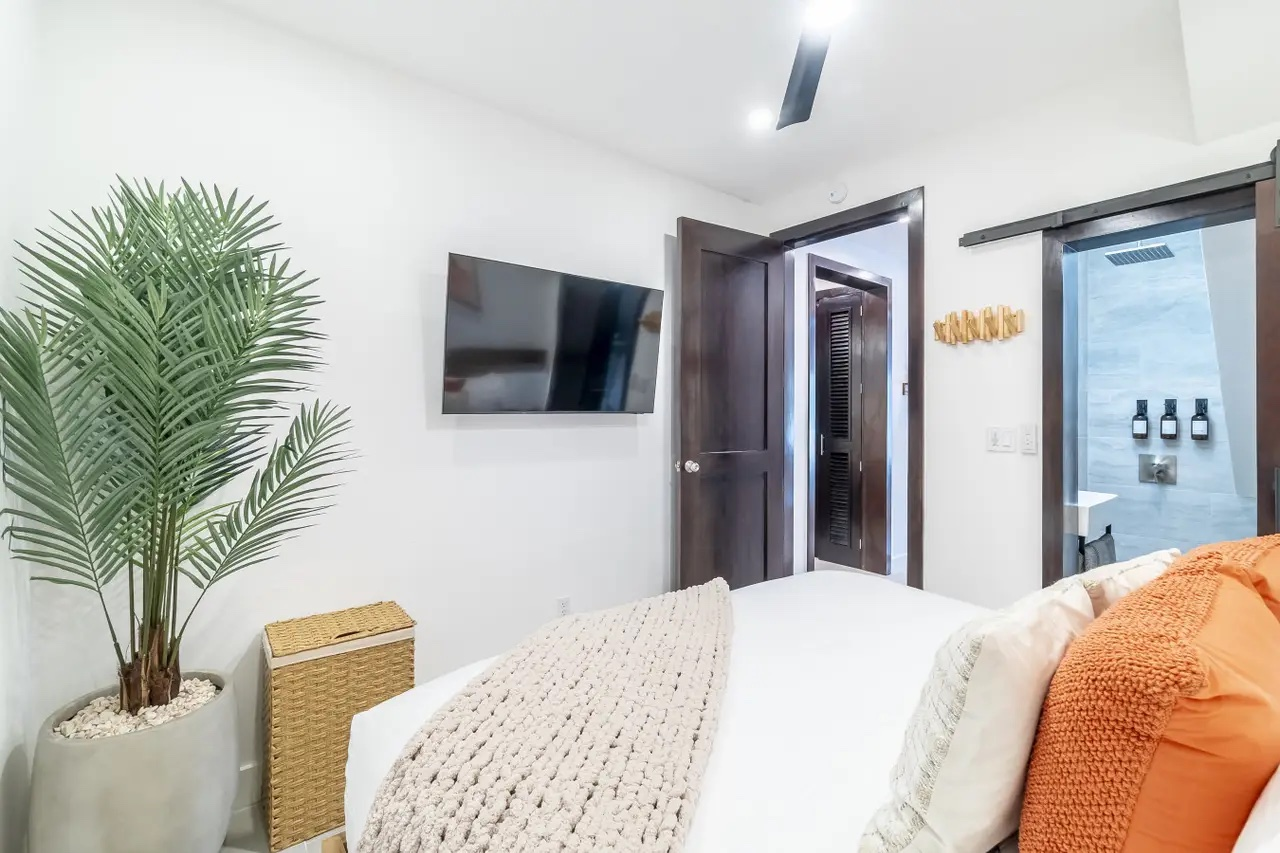 Palms 55