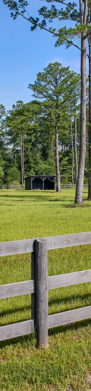 EXT-W-Paddock-2-Web-scaled