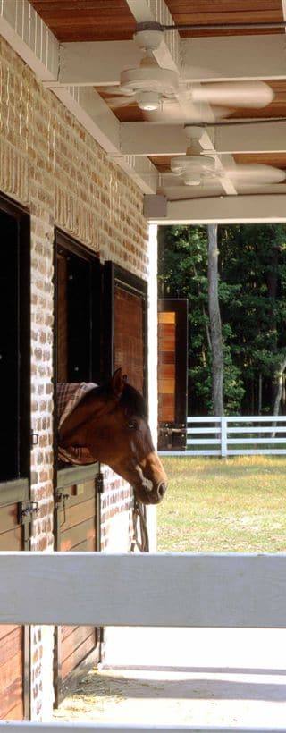 cotter_stable_2
