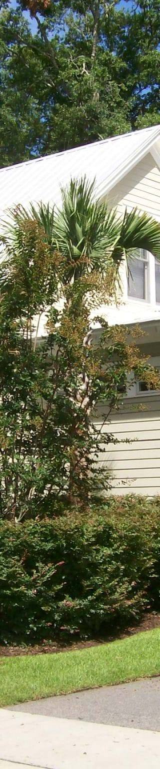 Bluff-Town-Cottage-10-Coosaw-Point-scaled