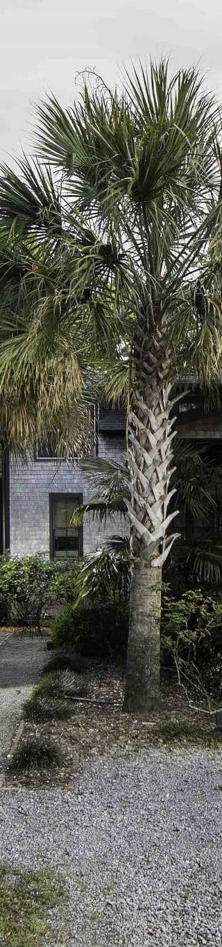 Carson-Bruce-House-2-scaled