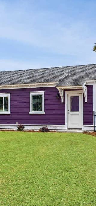 purple3