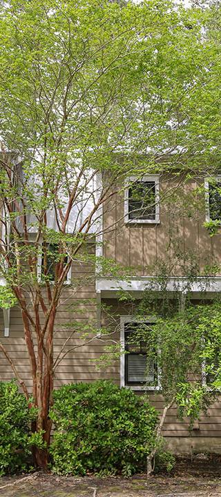 C0346-Gibbs-House-Habersham-2