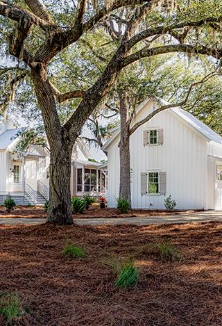 SSP_3972-Edit-1