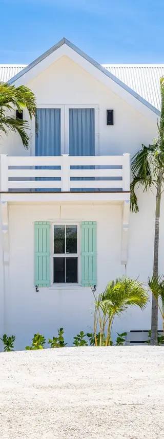 Palms 11