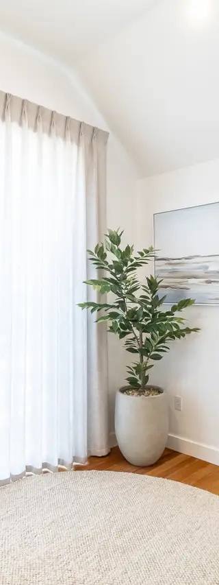 Palms 16