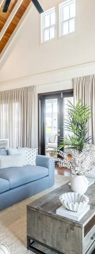Palms 18