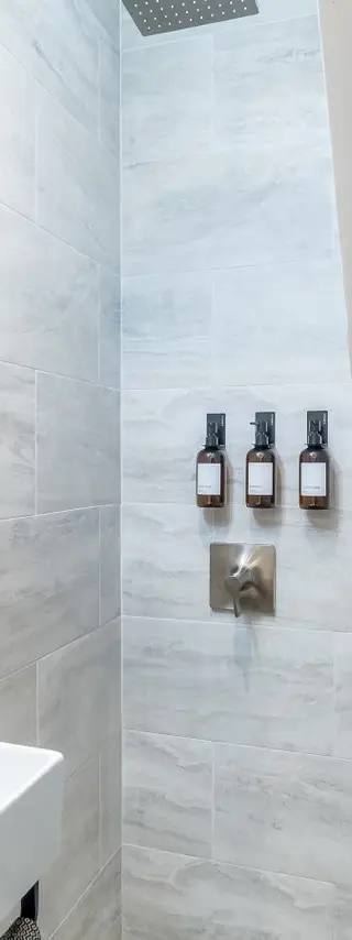Palms 25