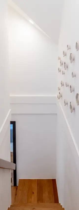 Palms 26