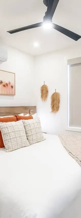 Palms 29