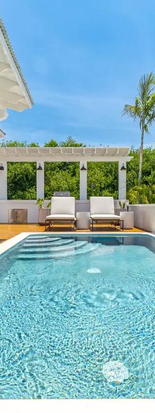 Palms 40