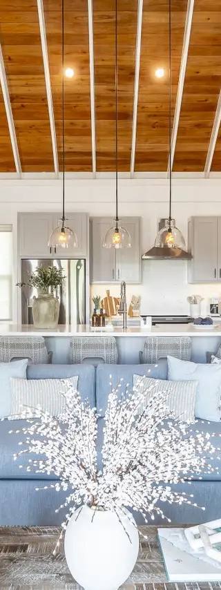 Palms 44
