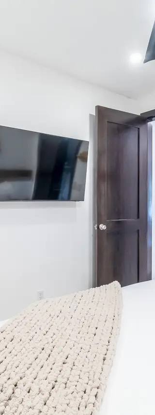 Palms 55