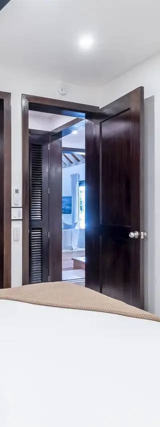 Palms 5