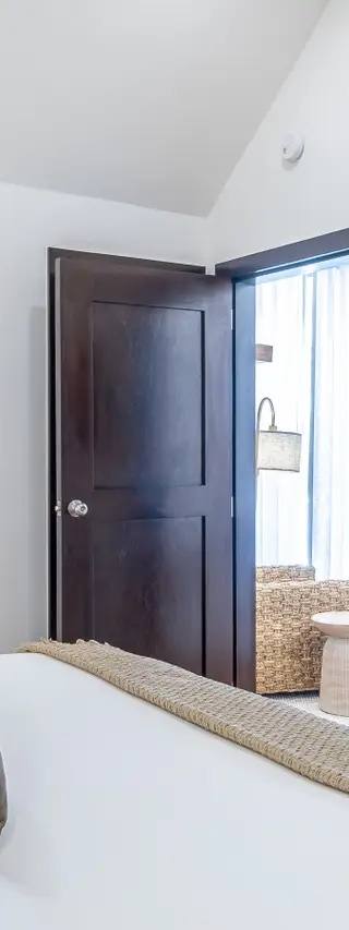 Palms 6