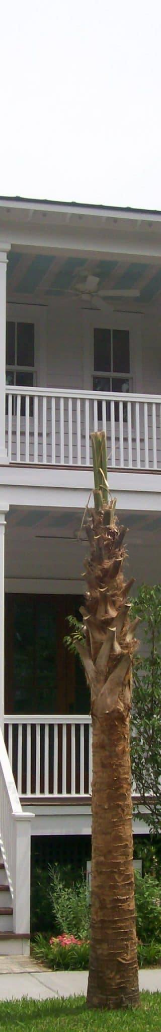 100_1720-scaled