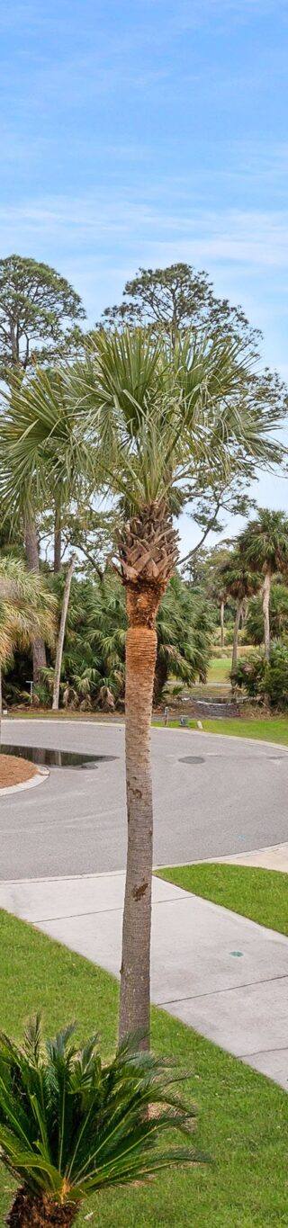 DSC01158-SMALL-scaled