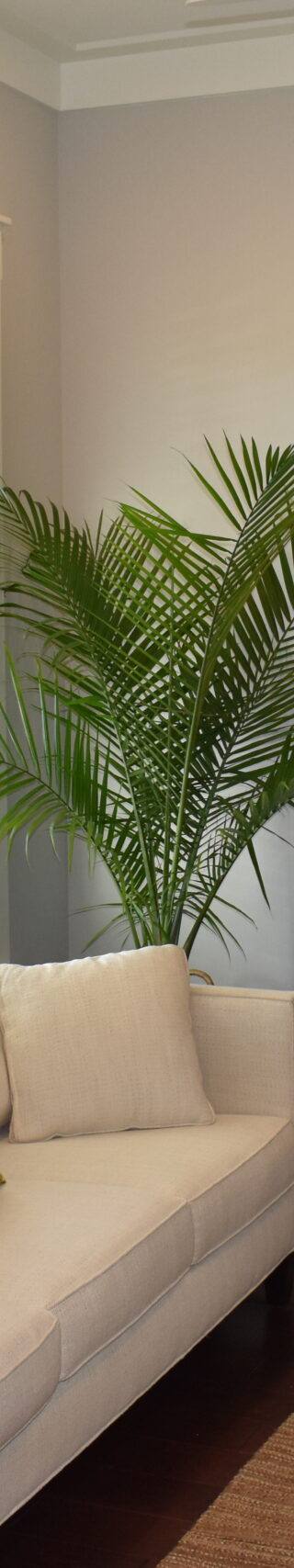 4 piano room (3)