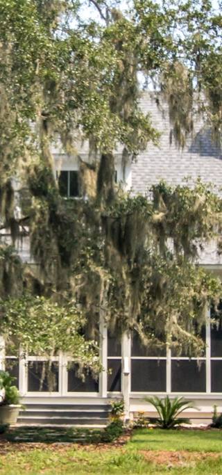 Wilbanks-3